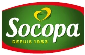 Socopa